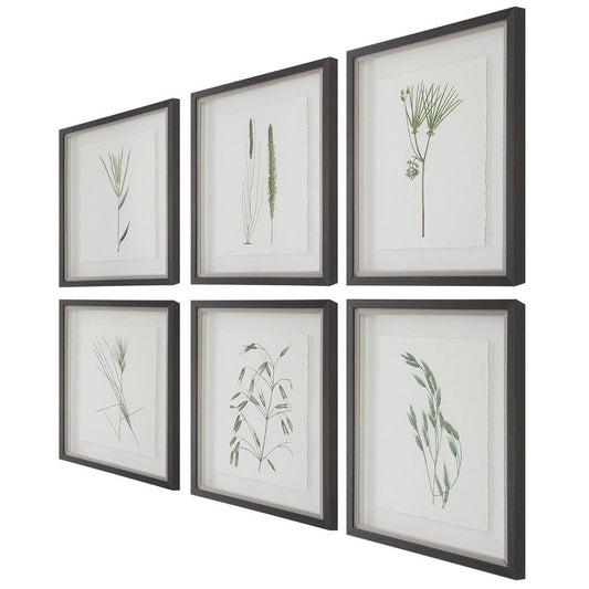 Forest Finds Framed Prints, S/6